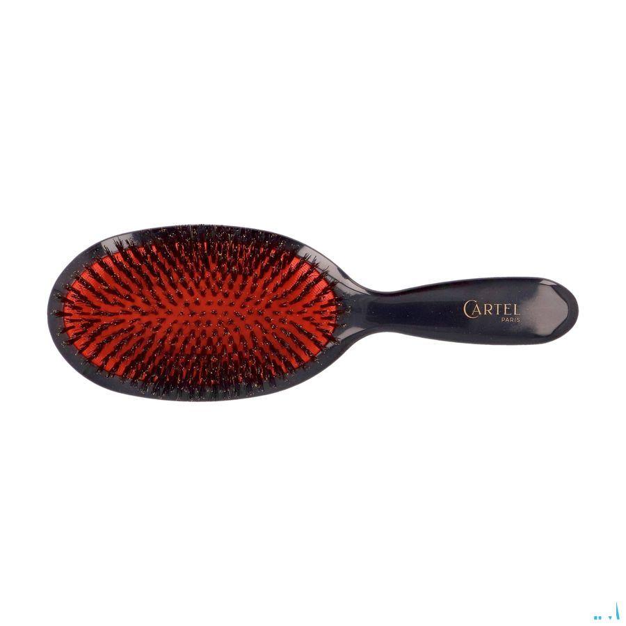 Cartel Brosse Pneumatique 100% Sanglier L  -  Vitry
