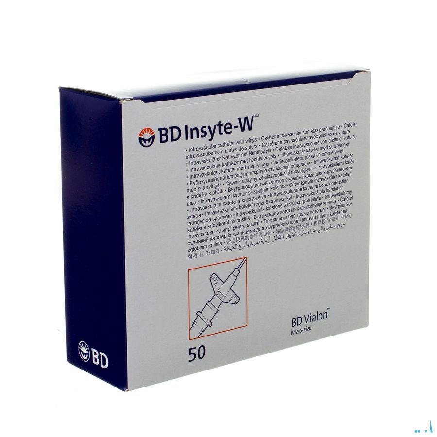 Bd Insyte-W Cath.Iv 24G 3/4 0,7X19Mm Geel50 381312