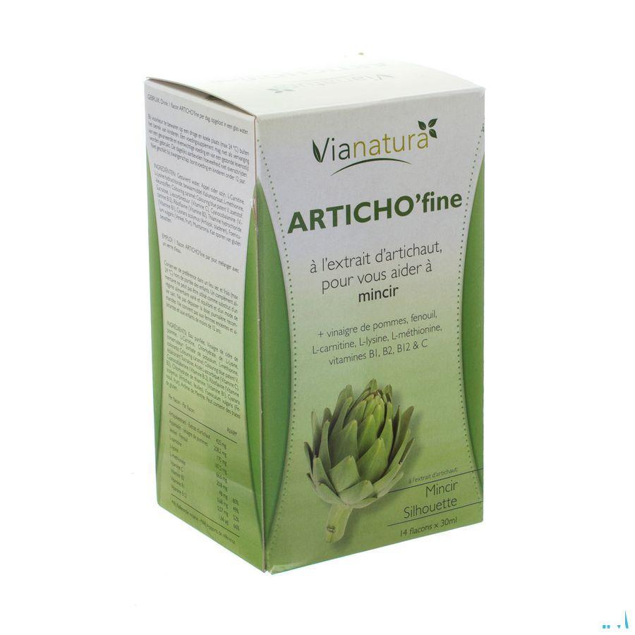 Via Natura Articho Fine 14x30 ml  -  Ocebio
