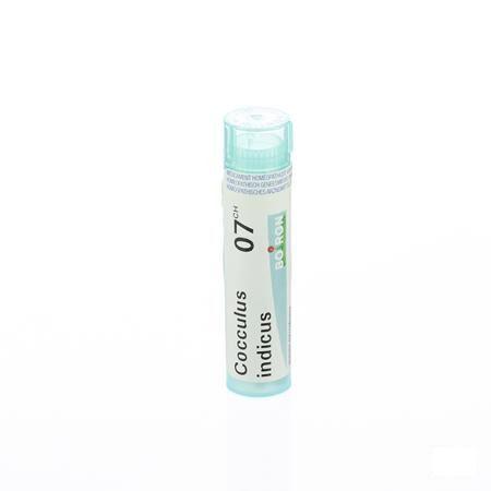 Cocculus Indicus 7CH Gr 4g  -  Boiron