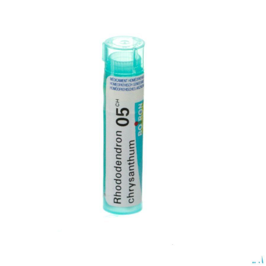 Rhododendron Chrysanthum 5CH Gr 4g  -  Boiron
