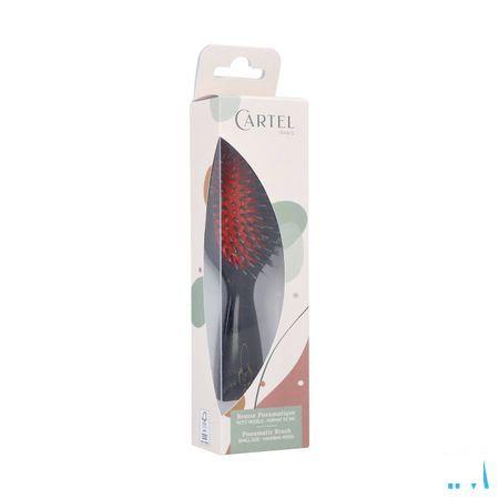 Cartel Brosse Pneumatique Nylon Sanglier Sac  -  Vitry