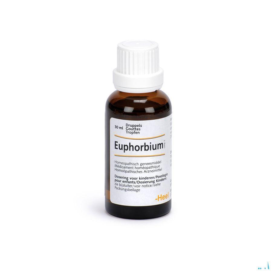 Euphorbium Compositum Neusspray 20 ml  -  Heel