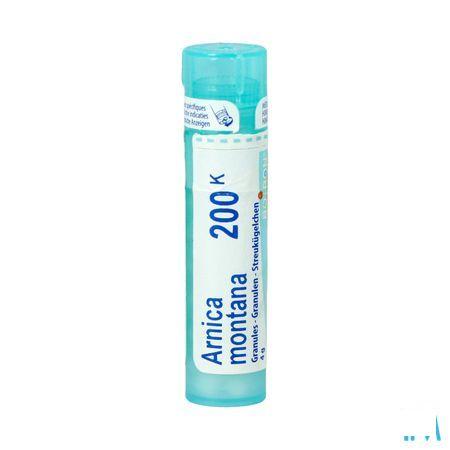 Arnica Montana 200K Gr 4g  -  Boiron