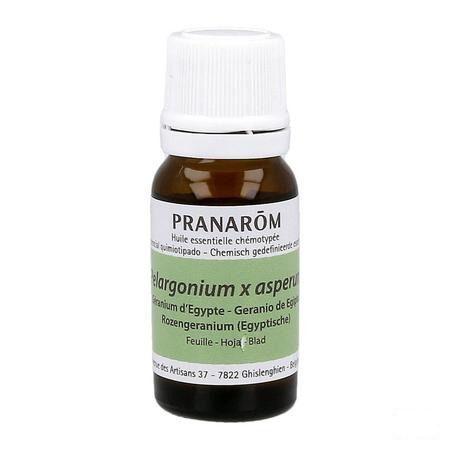 Geranium Egypte Huile Essentielle 10 ml  -  Pranarom