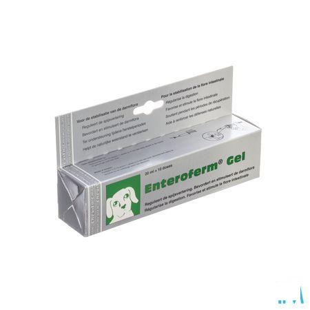 Enteroferm Hond/kat Gel Tube 1 X 20 ml  -  Fendigo