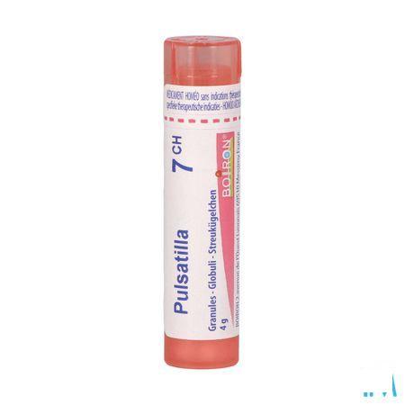 Pulsatilla 7CH Gr 4g  -  Boiron