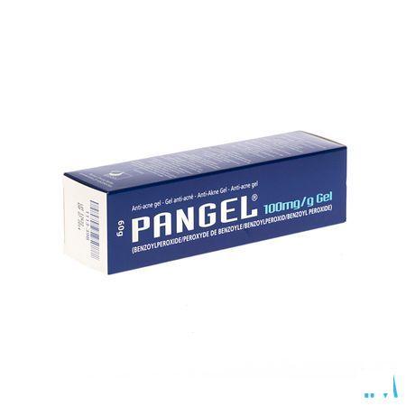 Pangel 10 % Gel 60 gr