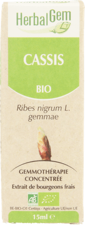 Herbalgem Zwarte Bes Maceraat 15 ml  -  Herbalgem