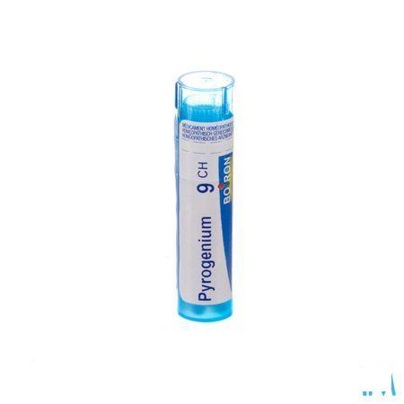 Pyrogenium 9CH Gr 4g  -  Boiron