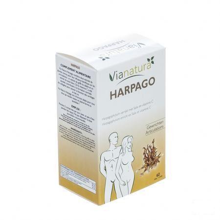 Harpago Tabletten 60x46,5 gr  -  Biover