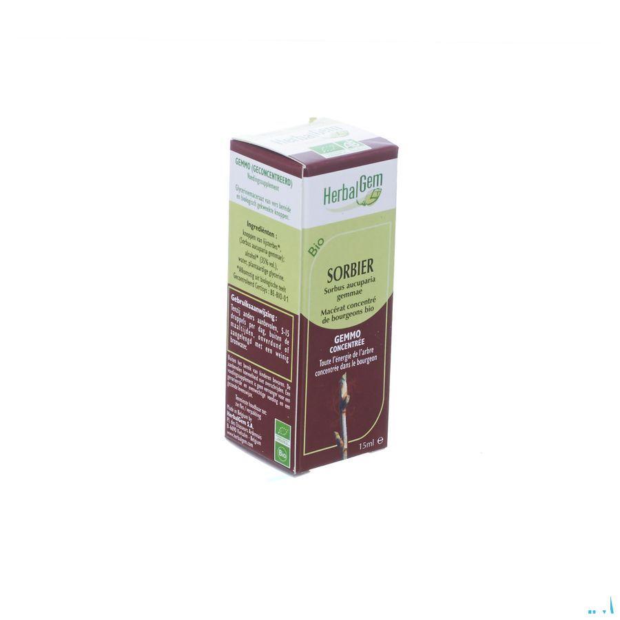 Herbalgem Lijsterbes Maceraat 15 ml  -  Herbalgem