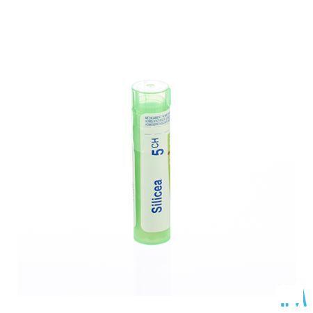 Silicea 5CH Gr 4g  -  Boiron