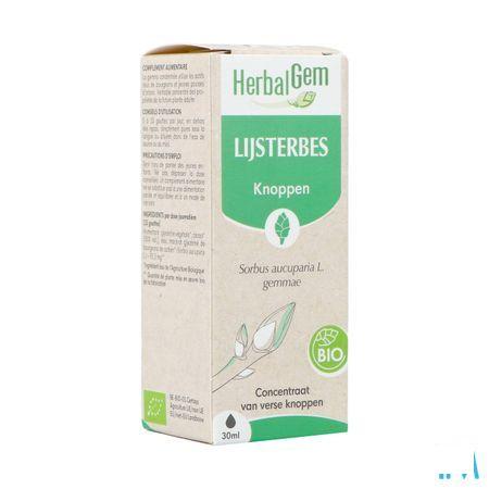 Herbalgem Lijsterbes Bio 30 ml