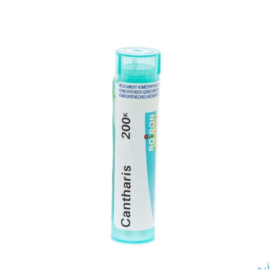 Cantharis 200K Gr 4g  -  Boiron