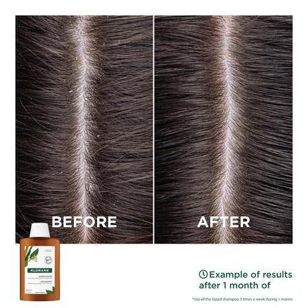 Klorane Capilaire Shampooing Galanga 200 ml