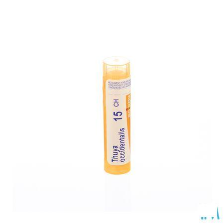 Thuya Occidentalis 15CH Gr 4g  -  Boiron