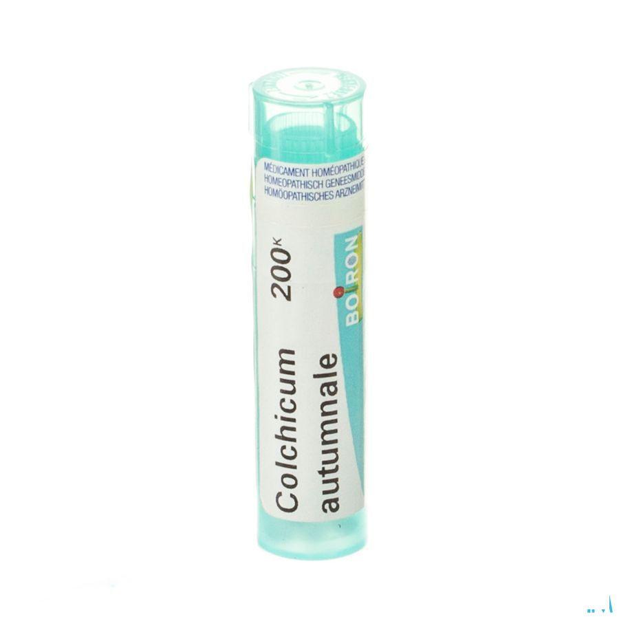 Colchicum Autumnale 200K Gr 4g  -  Boiron