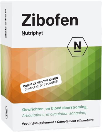 Zibofen Tabletten 60x1100 mg  -  Nutriphyt