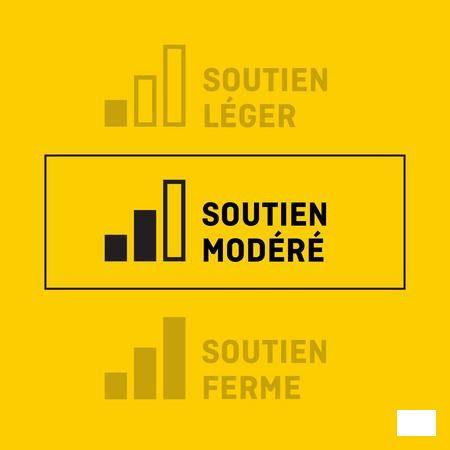 Futuro Genouillere Stabilisatrice Ultra Perf. L  -  3M