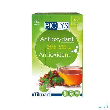 Biolys Rooibos The Vert Sachets 24  -  Tilman