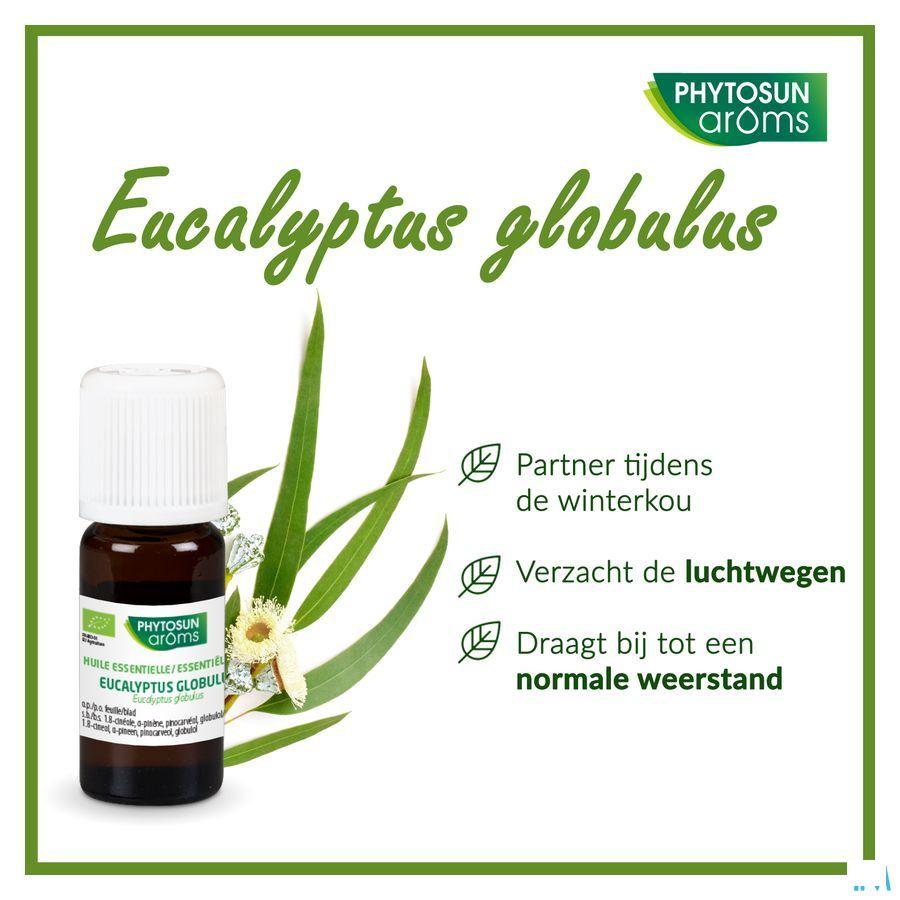 Phytosun Euc. Globulus Fr-bio-01 10 ml