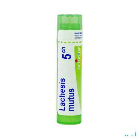 Lachesis Mutus 5CH Gr 4g  -  Boiron