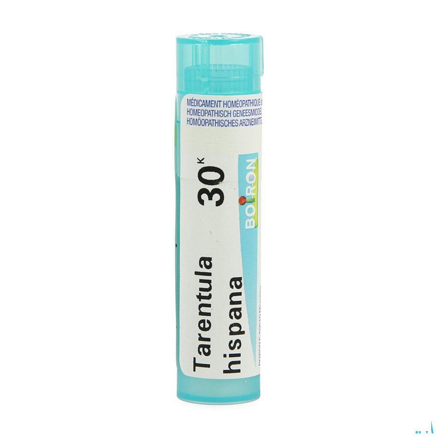 Tarentula Hispana 30K Gr 4g  -  Boiron