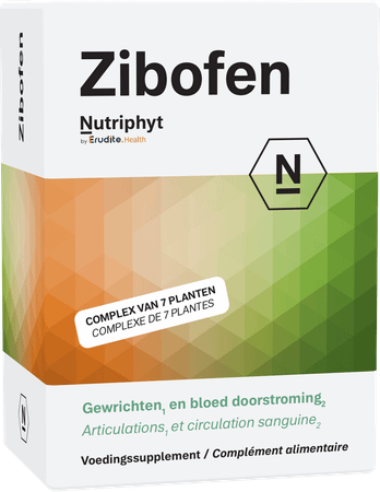 Zibofen Tabletten 60x1100 mg  -  Nutriphyt