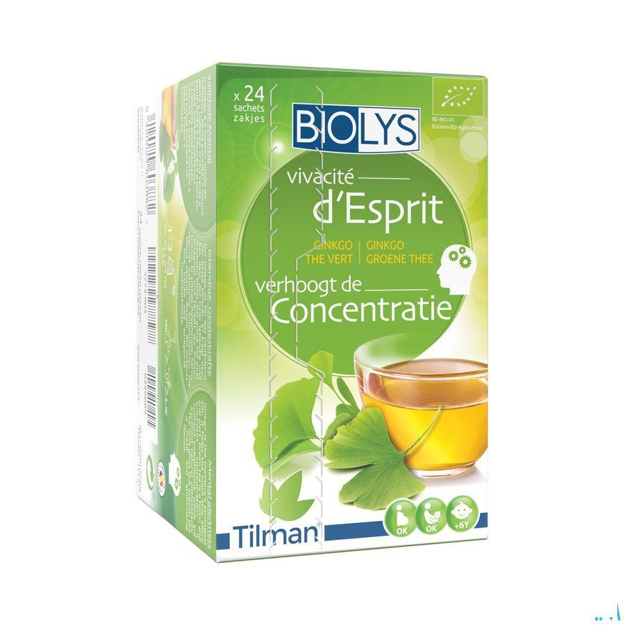 Biolys Ginkgo Groene Thee Zakjes 24  -  Tilman