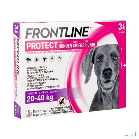 Frontline Protect Spot On Opl Hond 20-40Kg Pipet 3
