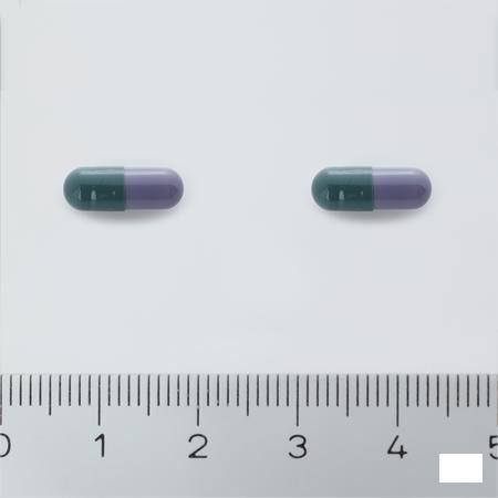 Imodium Capsule 60 X 2 mg