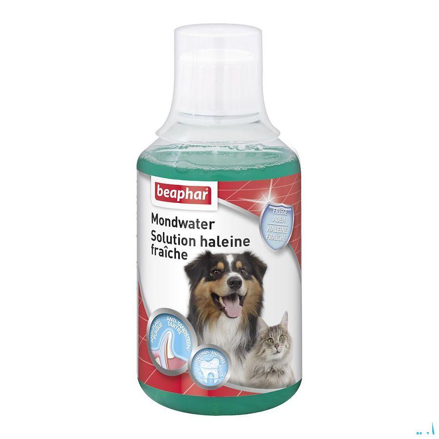 Beaphar Solution Haleine Fraiche 250 ml