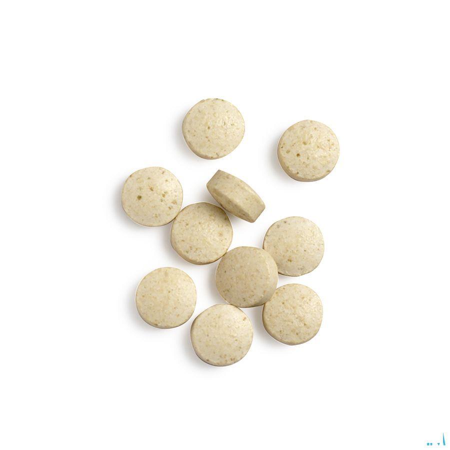 Biotics Intenzyme Forte 100 tabletten  -  Energetica Natura