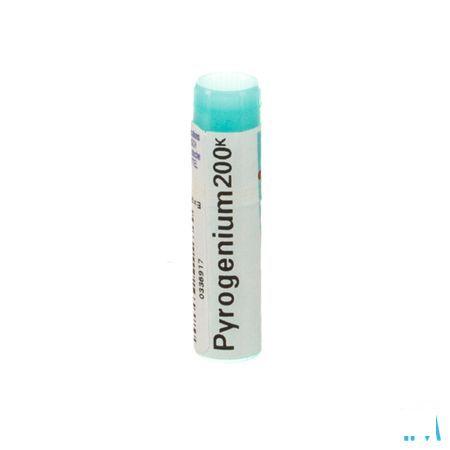 Pyrogenium 200K Gl  -  Boiron