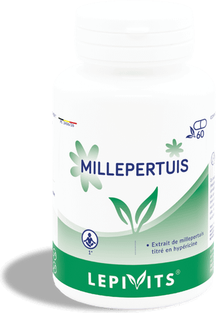 Lepivits Millepertuis Plus Gel 60  -  Lepivits
