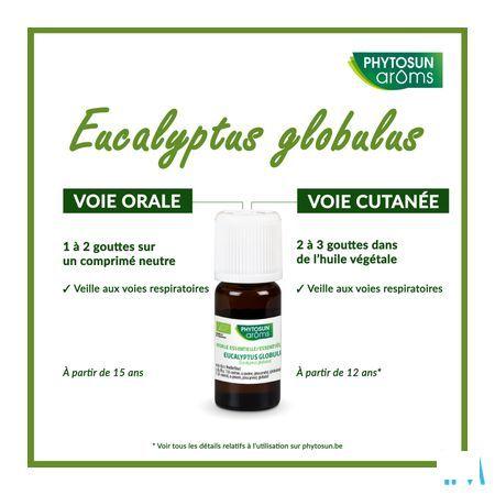 Phytosun Euc. Globulus Fr-bio-01 10 ml