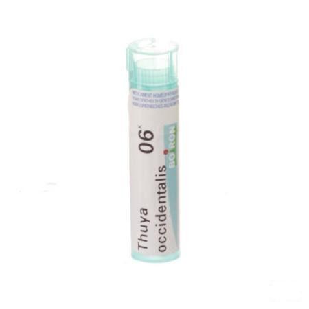 Thuya Occidentalis 6k Gr 4g  -  Boiron