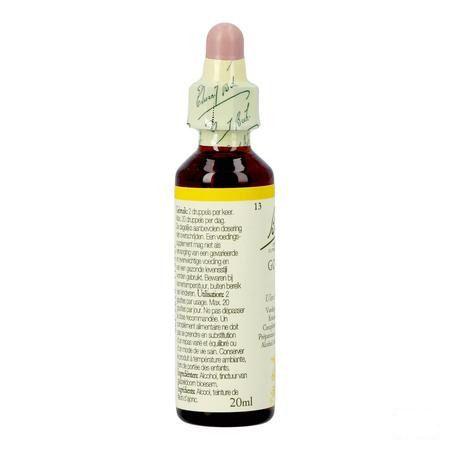 Bach Flower Remedie 13 Gorse 20 ml