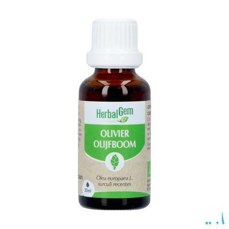 Herbalgem Olijfboom Bio 30 ml