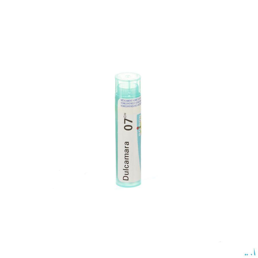 Dulcamara 7CH Gr 4g  -  Boiron
