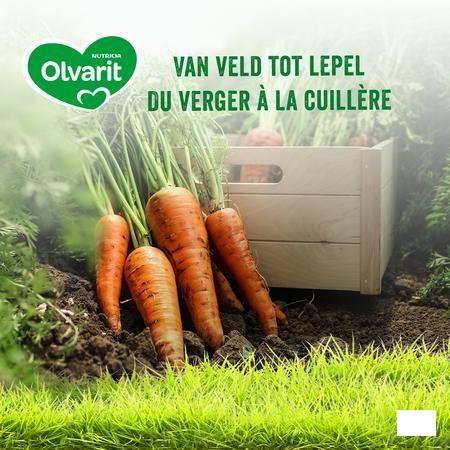 Olvarit Broccoli Rundsvlees Rijst 2x250 gr 18m02  -  Nutricia