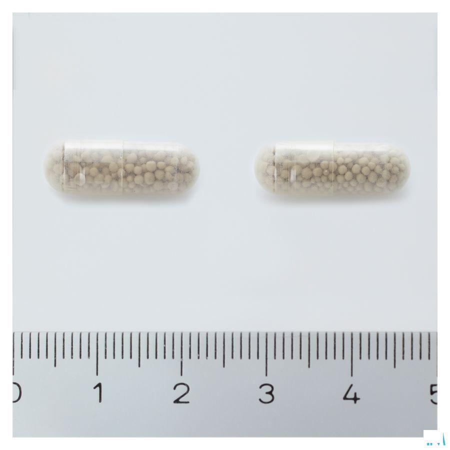 Cerevisia Capsule 90  -  Trenker