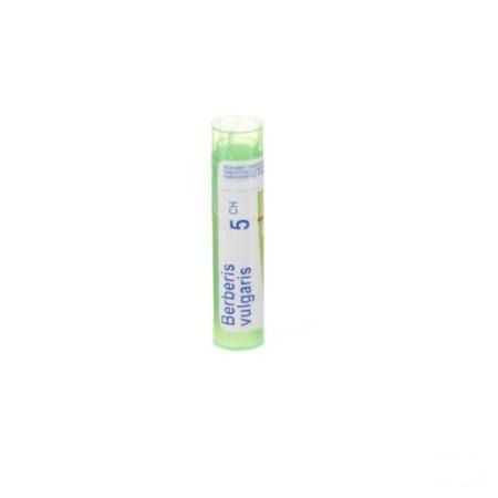 Berberis Vulgaris 5CH Gr 4g  -  Boiron