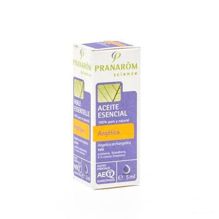 Engelwortel Essentiele Olie 5 ml  -  Pranarom