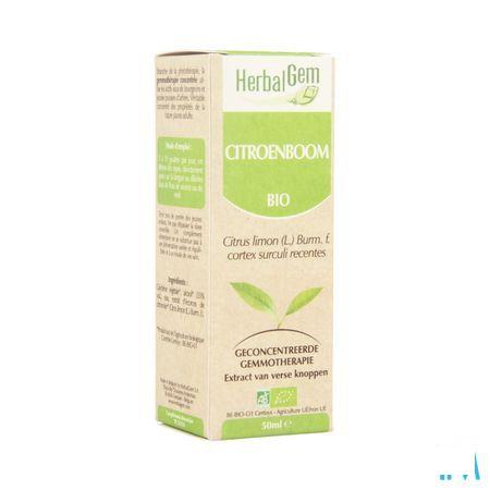 Herbalgem Citroenboom Maceraat 50 ml  -  Herbalgem