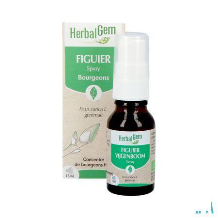 Herbalgem Figuier Bio Spray 15 ml