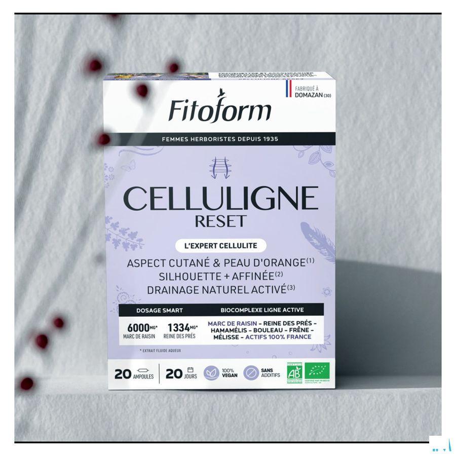 Celluligne Bio Amp 20X10 ml  -  Bioholistic Diffusion