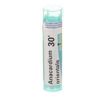 Anacardium Orientale 30K Gr 4g  -  Boiron