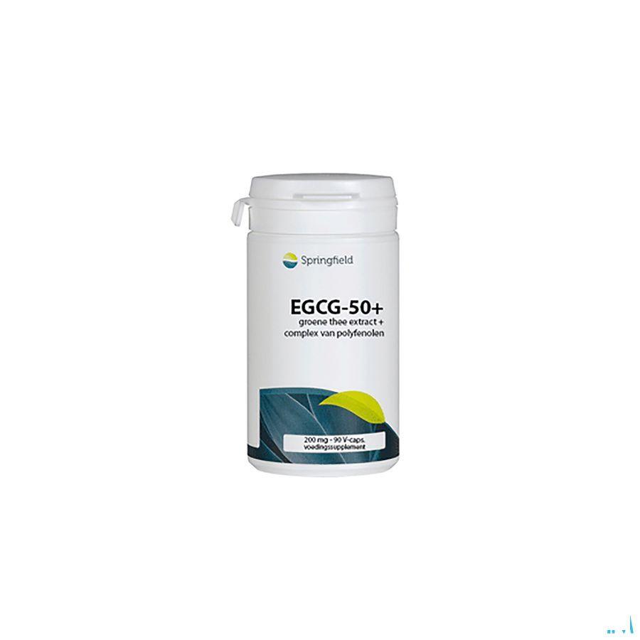 Groene Thee Extr.200 mg 50% Egcg Springf. V-Capsule 90  -  Springfield Nutraceuticals